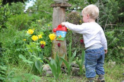 que edades deben los hijos colaborar en las tareas domesticas-regando flores