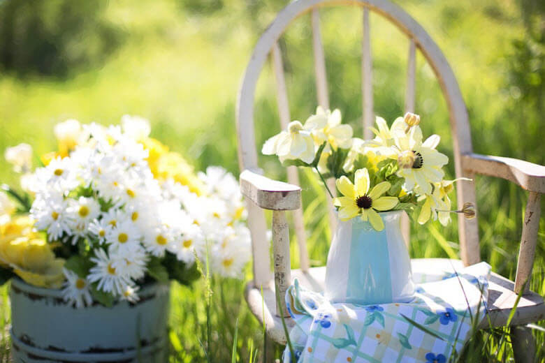 Cómo limpiar y mantener tu jardín en verano